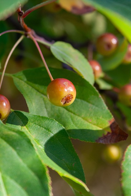 增强也是重 增强也是重