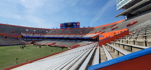 在下半场的 在下半场的