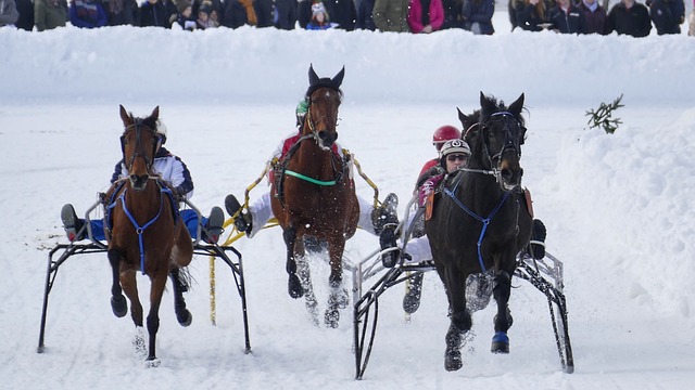 书写过精彩 书写过精彩