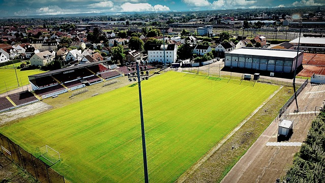 归化球员 归化球员