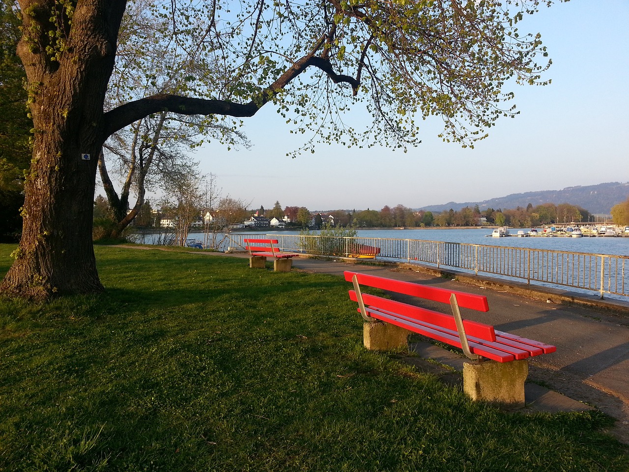 具有更强全 具有更强全