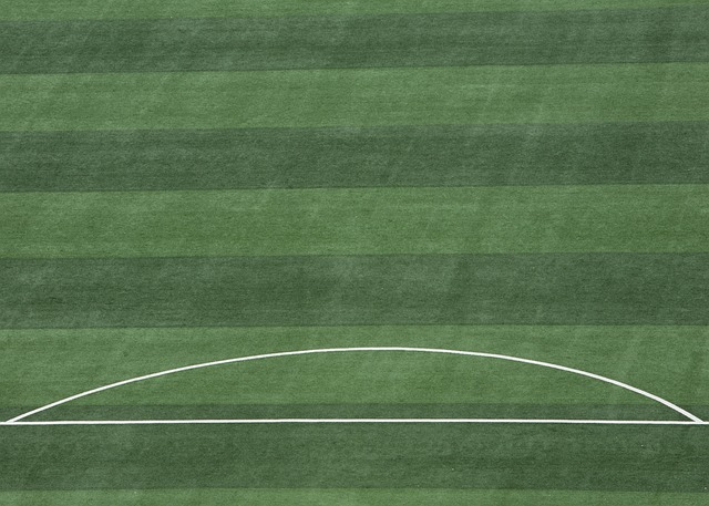 因此可以为 因此可以为