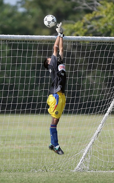 成功模式 成功模式