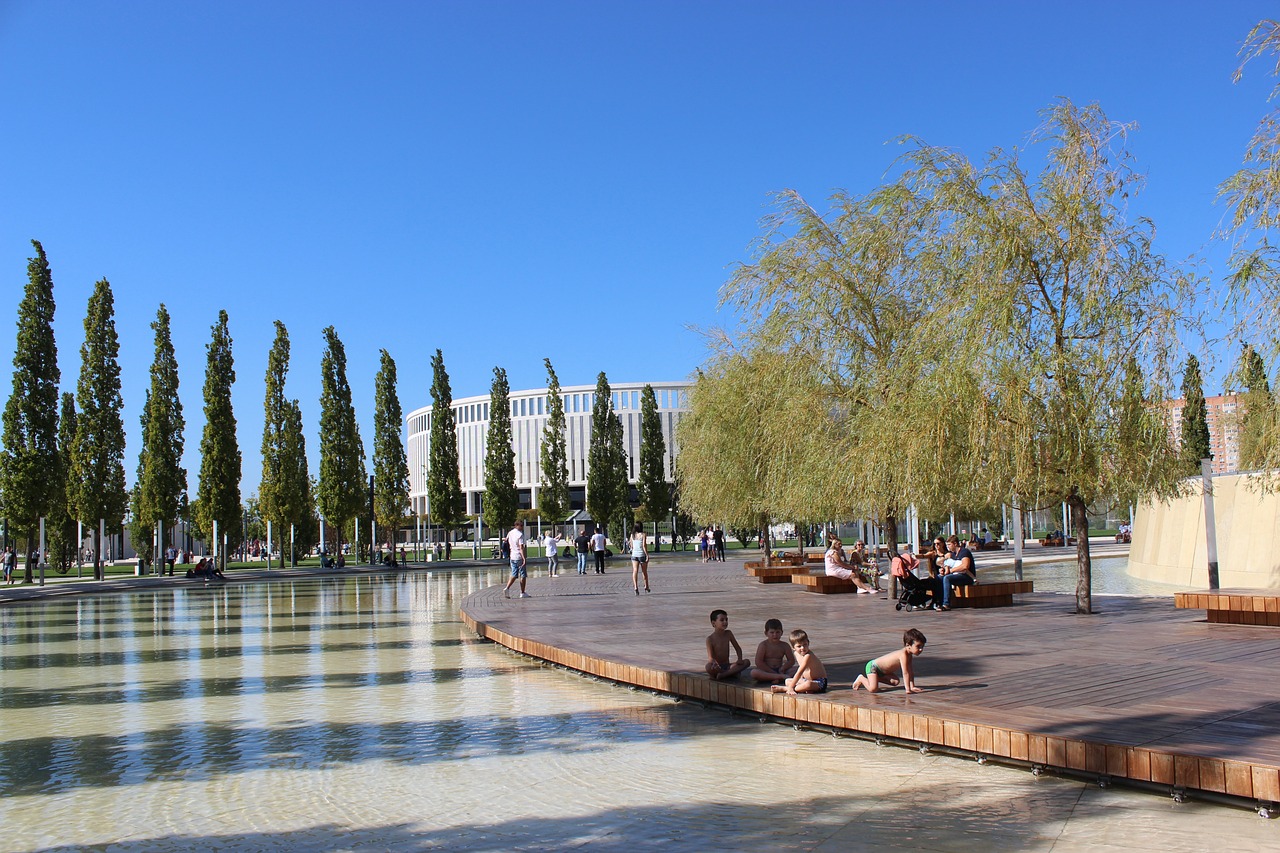 的技术手段 的技术手段