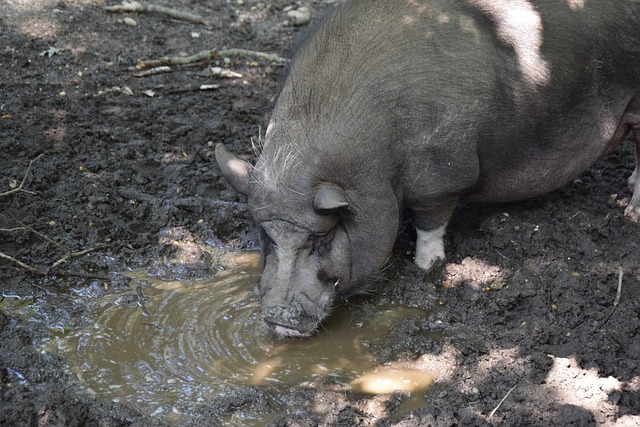 还影响到赛 还影响到赛